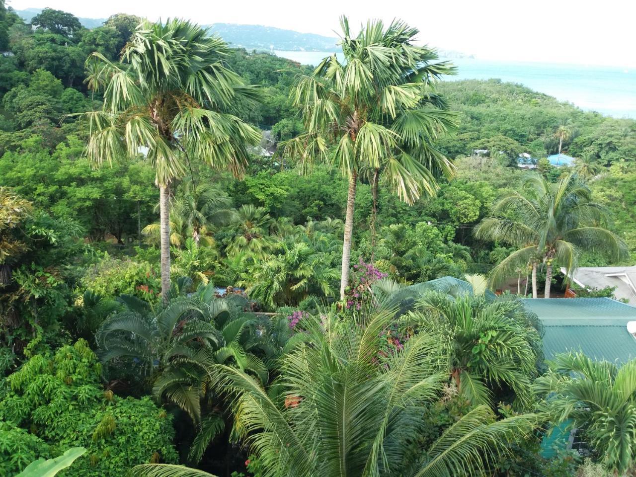 Apartment Espoir Castries Buitenkant foto